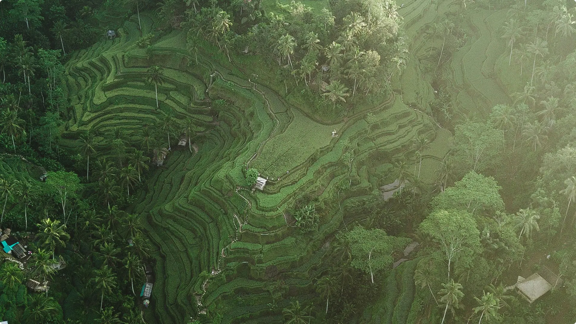 Bli putu ubud - Image