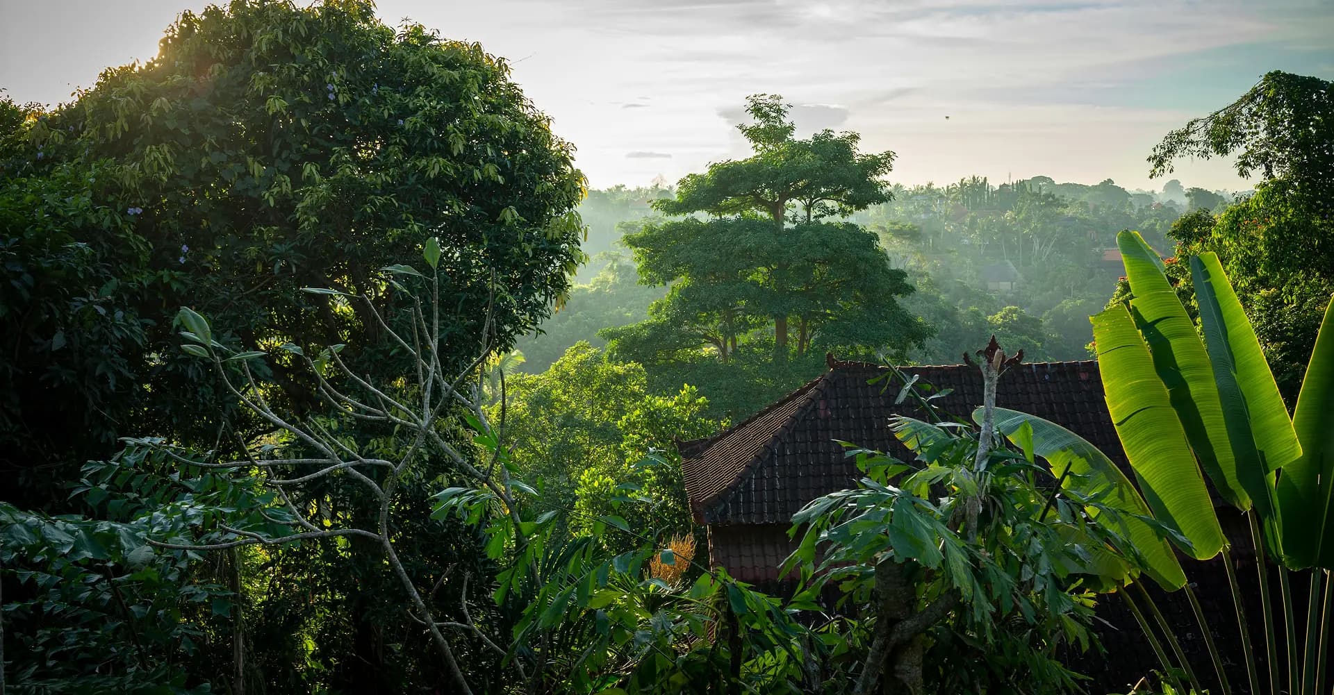 Bli Putu Ubud - Image