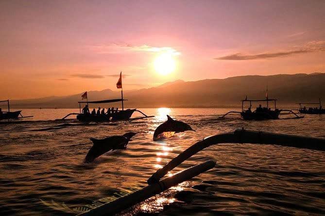 Dolphin Watching Tour - Bli Putu Ubud