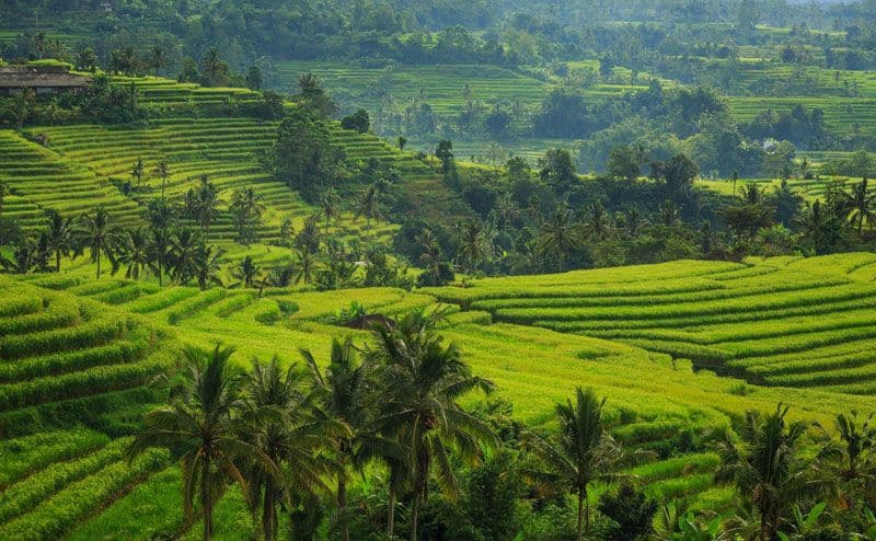 West Bali Tour - Gallery Image 1