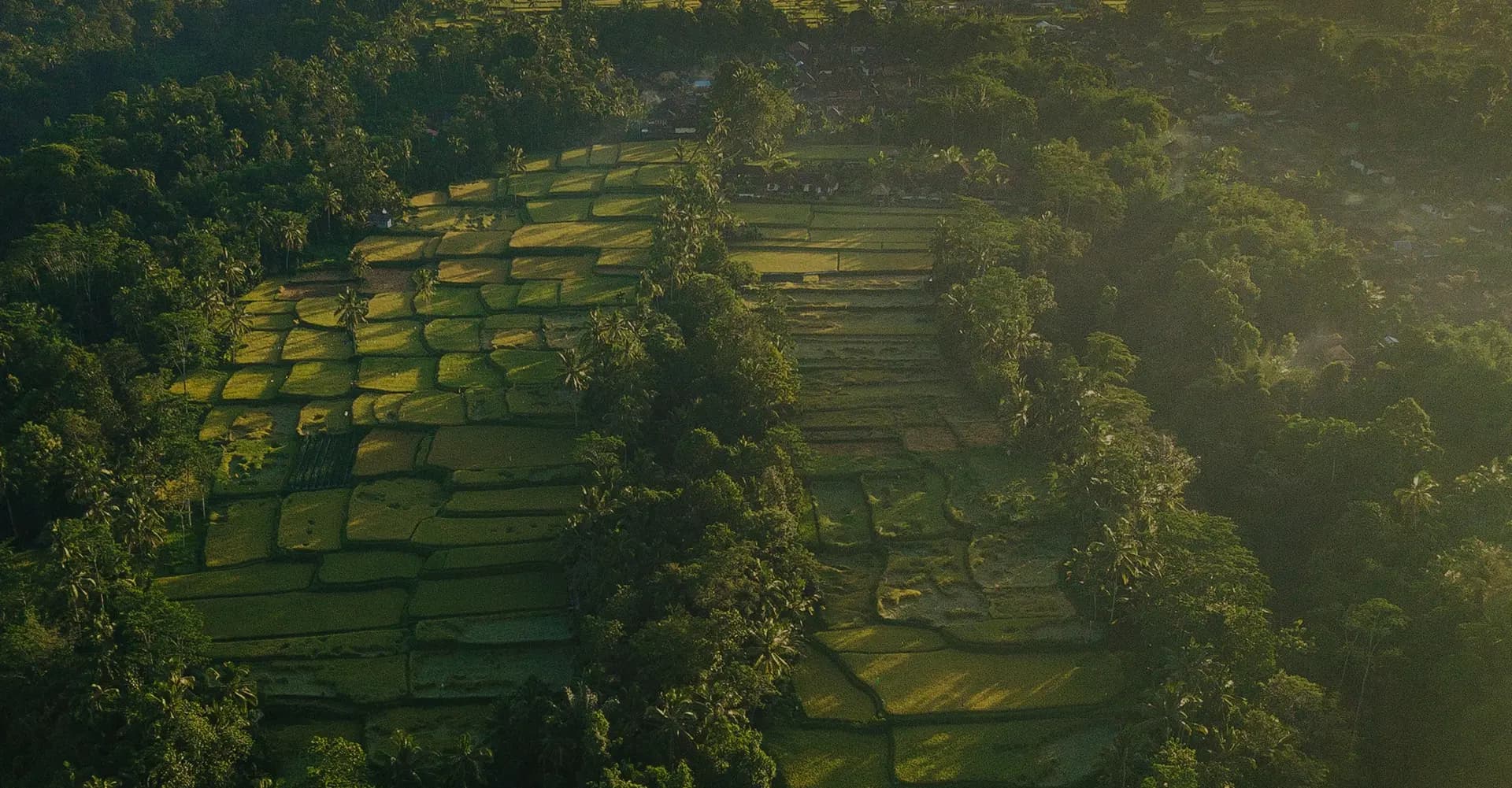 Bli Putu Ubud - Image